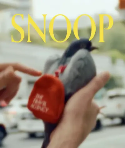 Snoop the pigeon