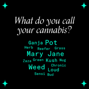 Inline text image of the various names for 'cannabis'.