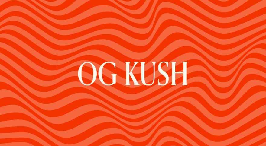 OG Kush : The Ins and Outs of Iconic Strain