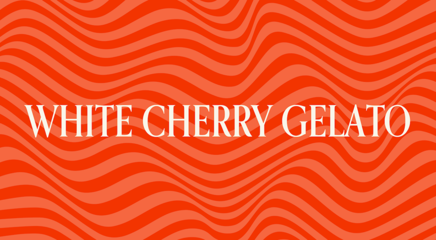 Your Guide to the White Cherry Gelato Cultivar