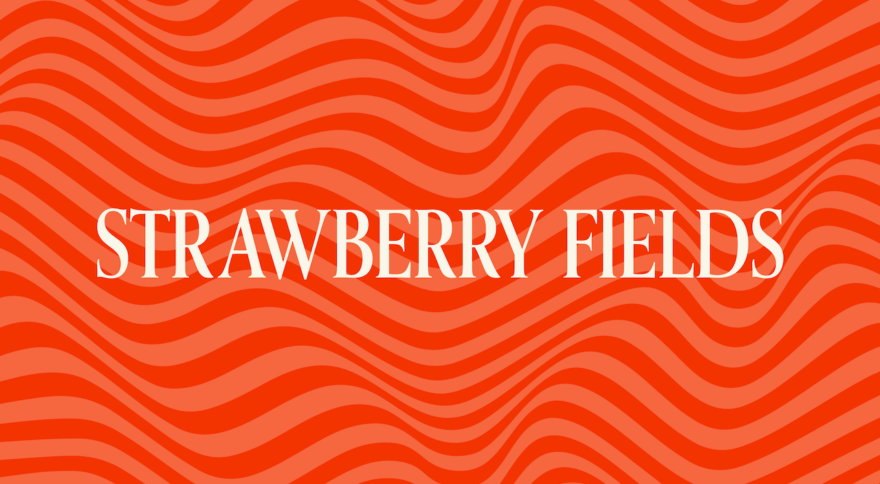 Strawberry Fields Strain Information