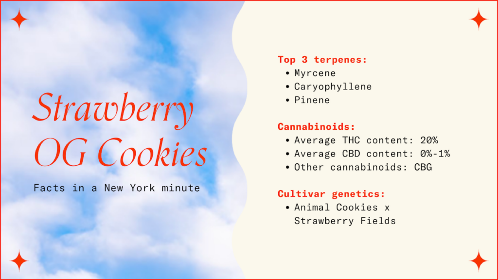 Strawberry OG Cookies Strain facts card. 